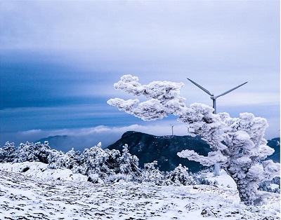 雪景5.jpg